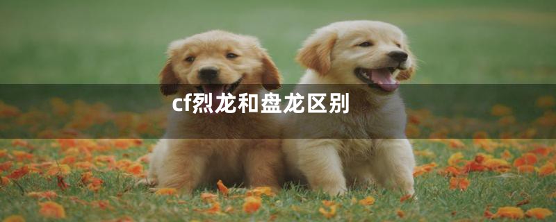 cf烈龙和盘龙区别