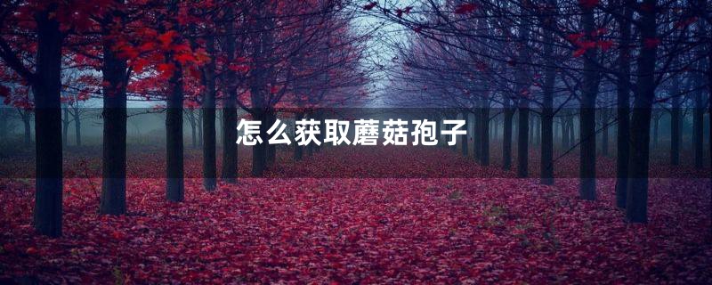 怎么获取蘑菇孢子