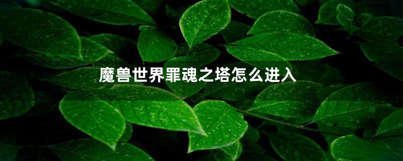 魔兽世界罪魂之塔怎么进入