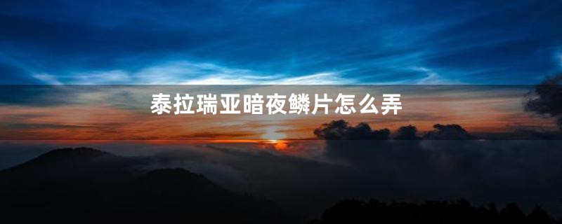 泰拉瑞亚暗夜鳞片怎么弄