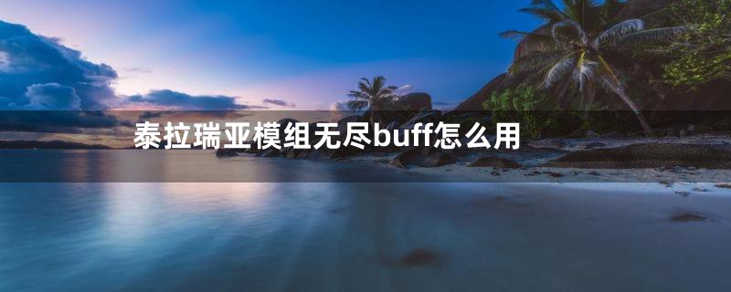 泰拉瑞亚模组无尽buff怎么用