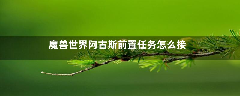 魔兽世界阿古斯前置任务怎么接