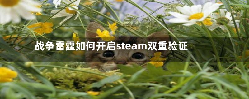 战争雷霆如何开启steam双重验证