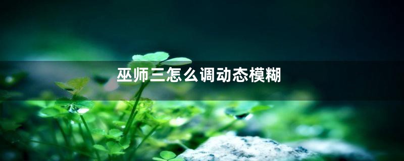 巫师三怎么调动态模糊