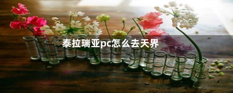 泰拉瑞亚pc怎么去天界