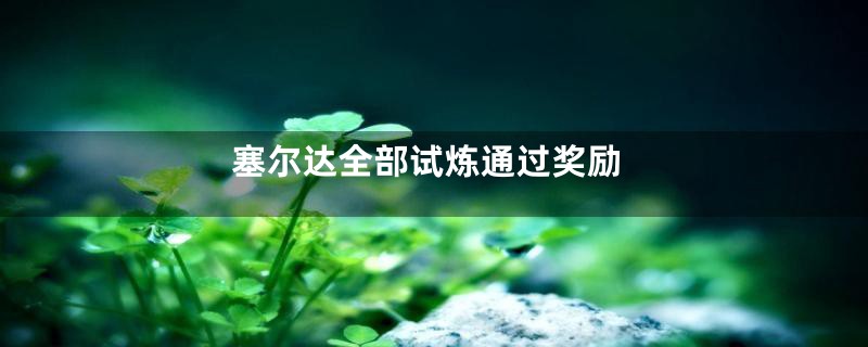 塞尔达全部试炼通过奖励