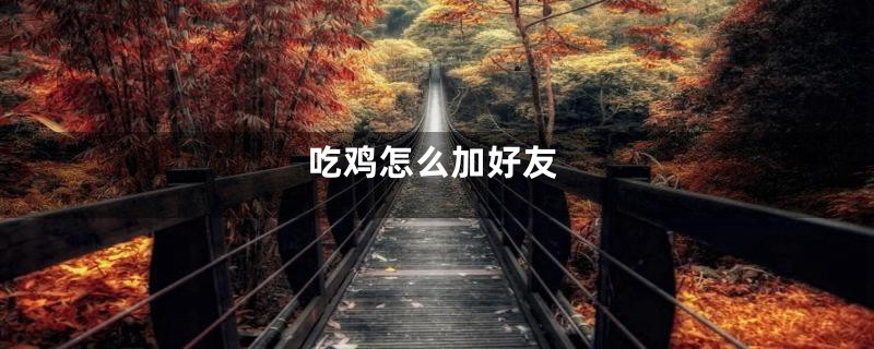 吃鸡怎么加好友