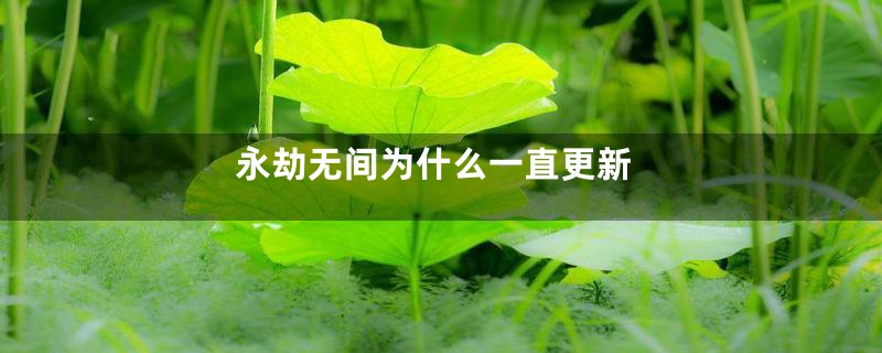 永劫无间为什么一直更新