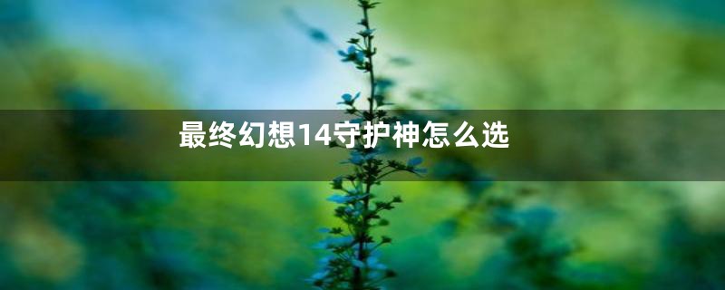 最终幻想14守护神怎么选