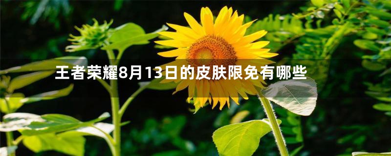 王者荣耀8月13日的皮肤限免有哪些