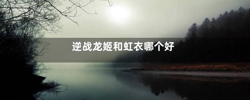 逆战龙姬和虹衣哪个好