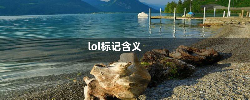 lol标记含义