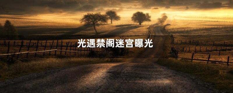 光遇禁阁迷宫曝光