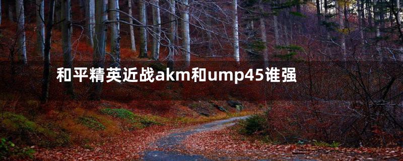 和平精英近战akm和ump45谁强