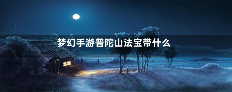 梦幻手游普陀山法宝带什么