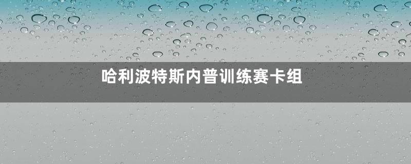 哈利波特斯内普训练赛卡组