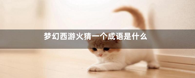 梦幻西游火猜一个成语是什么