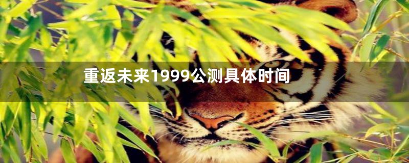 重返未来1999公测具体时间