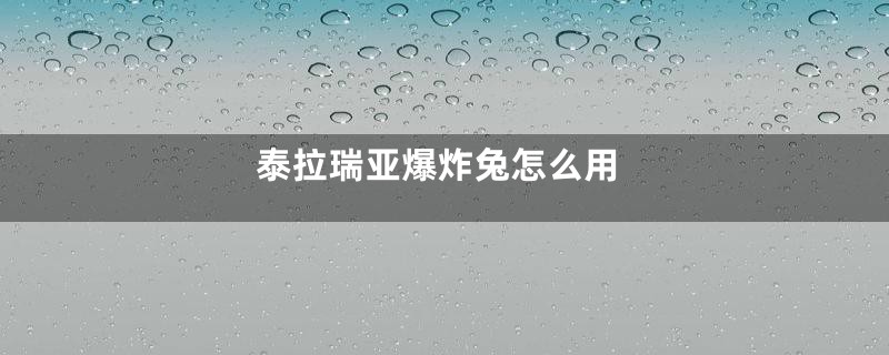 泰拉瑞亚爆炸兔怎么用