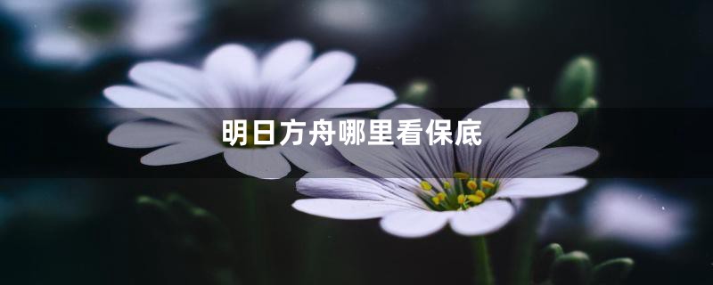 明日方舟哪里看保底