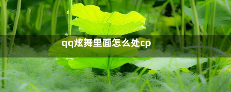 qq炫舞里面怎么处cp