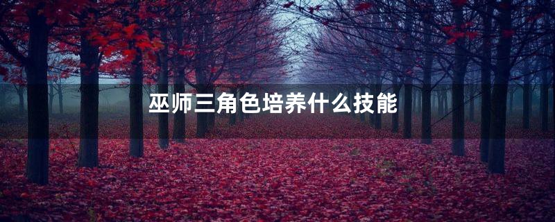 巫师三角色培养什么技能