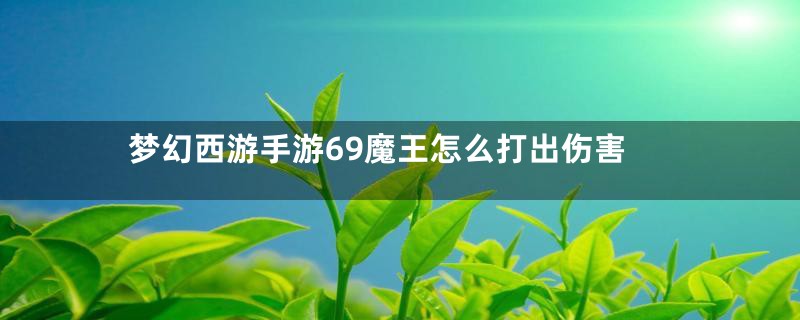 梦幻西游手游69魔王怎么打出伤害