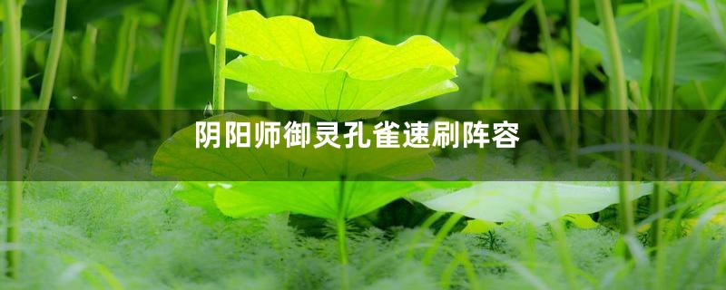 阴阳师御灵孔雀速刷阵容