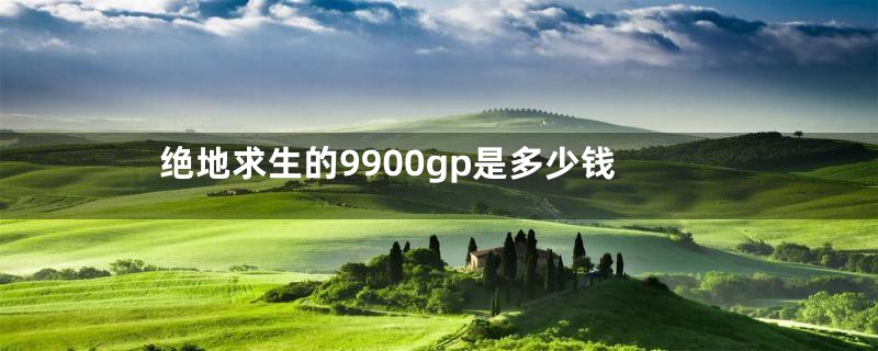 绝地求生的9900gp是多少钱