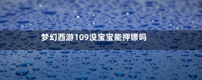 梦幻西游109没宝宝能押镖吗