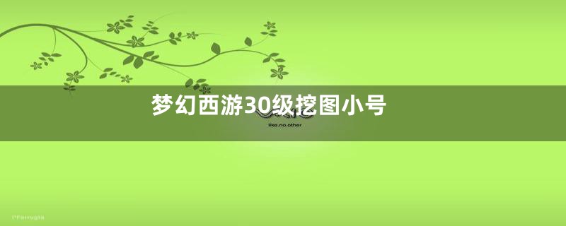 梦幻西游30级挖图小号