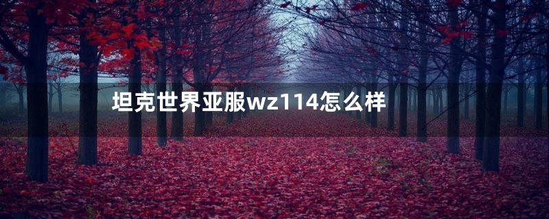 坦克世界亚服wz114怎么样