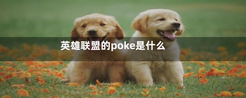 英雄联盟的poke是什么