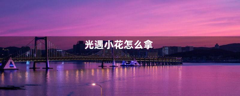 光遇小花怎么拿