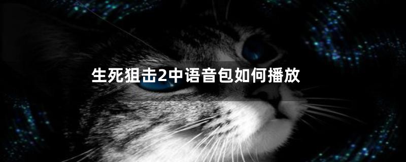 生死狙击2中语音包如何播放