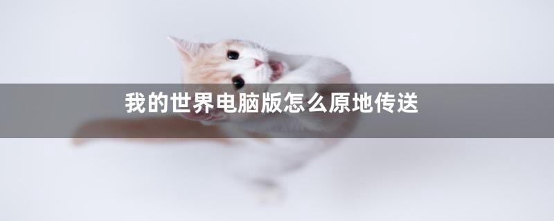 我的世界电脑版怎么原地传送