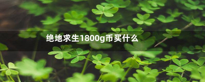 绝地求生1800g币买什么