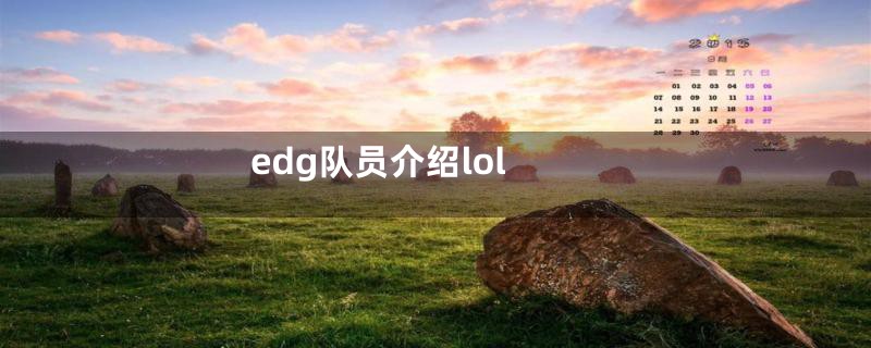 edg队员介绍lol