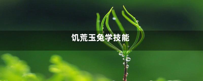 饥荒玉兔学技能