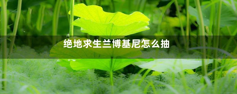 绝地求生兰博基尼怎么抽