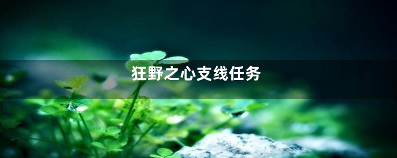 狂野之心支线任务