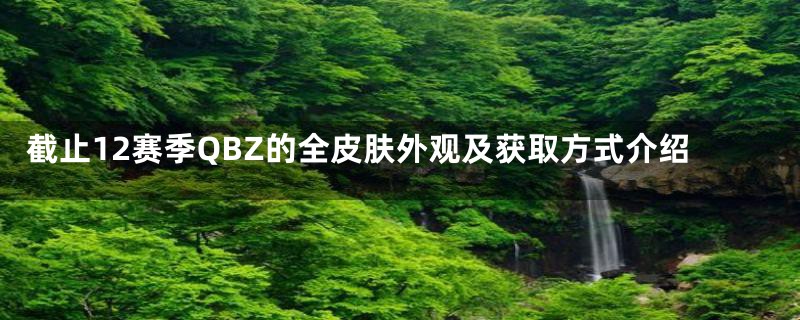 截止12赛季QBZ的全皮肤外观及获取方式介绍