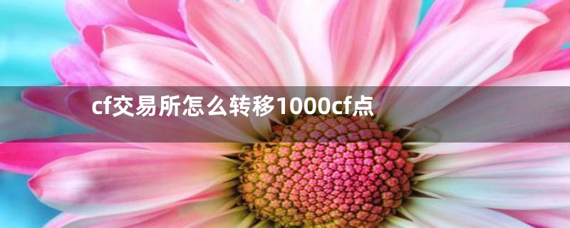 cf交易所怎么转移1000cf点