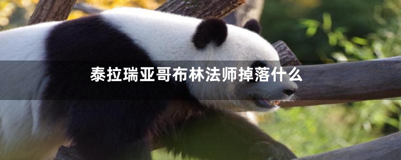 泰拉瑞亚哥布林法师掉落什么