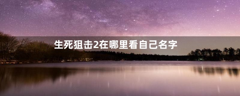 生死狙击2在哪里看自己名字