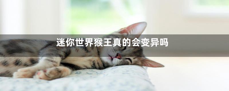 迷你世界猴王真的会变异吗