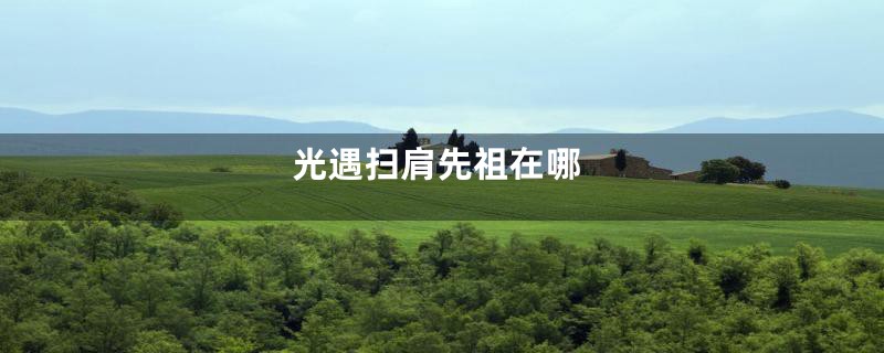 光遇扫肩先祖在哪