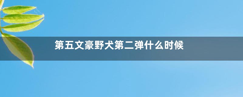 第五文豪野犬第二弹什么时候