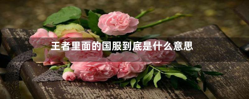 王者里面的国服到底是什么意思