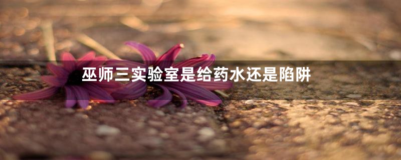 巫师三实验室是给药水还是陷阱